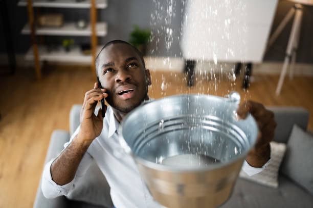 Best Water damage contractors near me  in Kewaskum, WI