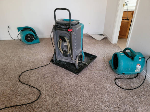 Best Water damage restoration process  in Kewaskum, WI