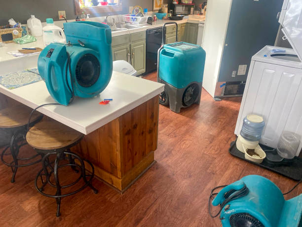 Best Sewage cleanup and water damage restoration  in Kewaskum, WI