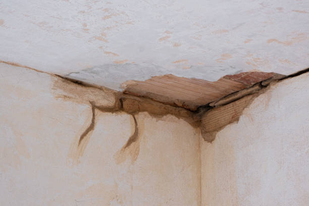 Best Sewage cleanup and water damage restoration  in Kewaskum, WI