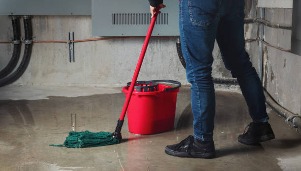 Best Residential water damage restoration  in Kewaskum, WI