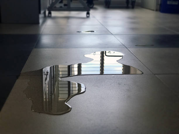 Best Carpet water damage restoration  in Kewaskum, WI