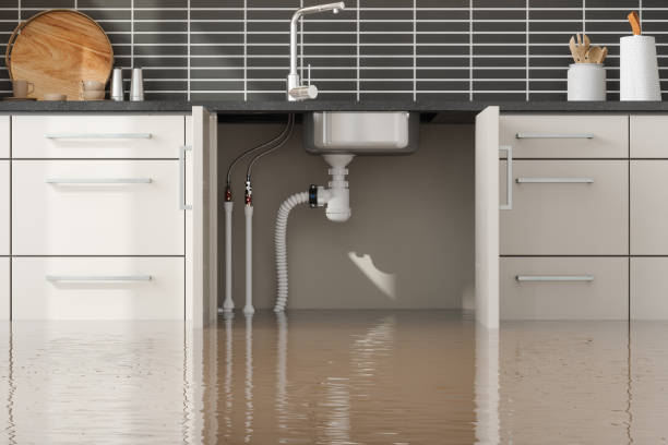Best Emergency water damage restoration  in Kewaskum, WI