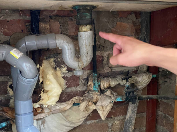 Best 24/7 water damage repair  in Kewaskum, WI