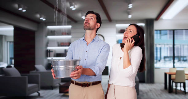 Best Local water damage restoration  in Kewaskum, WI
