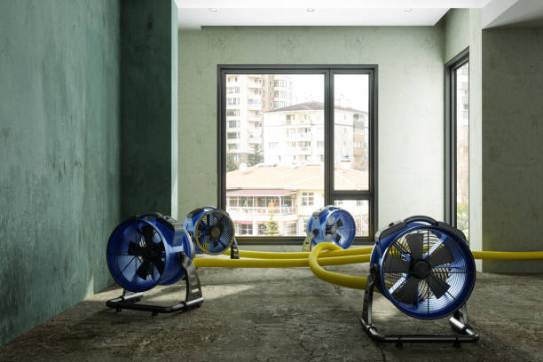Best Residential water damage restoration  in Kewaskum, WI